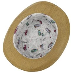 Alternative view of Carlio Melone By Alfonso DEste