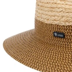 Raffia Crown Strohhut By Lipodo 8 Raffia Crown Strohhut By Lipodo -Stetson Speichern Raffia Crown Strohhut by Lipodo natur braun.62620 4rf195