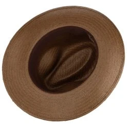Alternative view of Rothney Strohhut By Bailey 1922