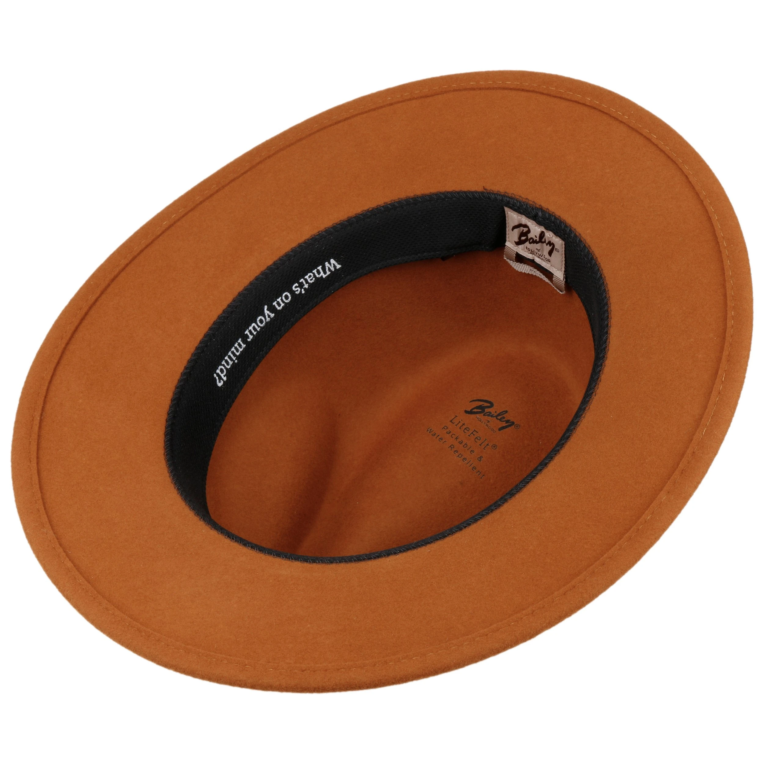 Sperling Wollhut By Bailey 1922 6 Sperling Wollhut By Bailey 1922 - Image 4