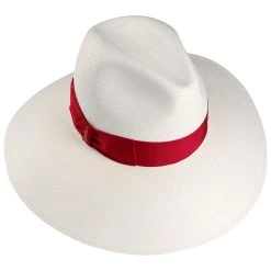 Alternative view of Tamira Fine Panamahut By Borsalino